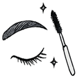 hair in shape,Lash lift and tint service in Venice Blvd
